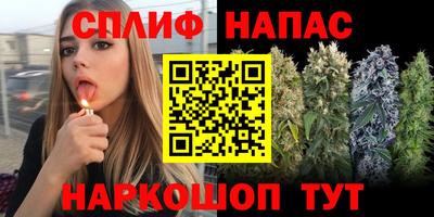 гидра Малгобек