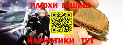 гидра Можга