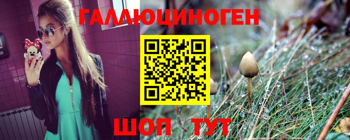 Галлюциногенные грибы Psilocybe Дзержинск