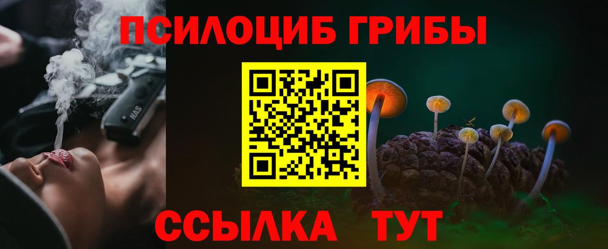 Галлюциногенные грибы Magic Shrooms  Вход с VPN  Дзержинск  Псилоцибиновые грибы Magic Shrooms 